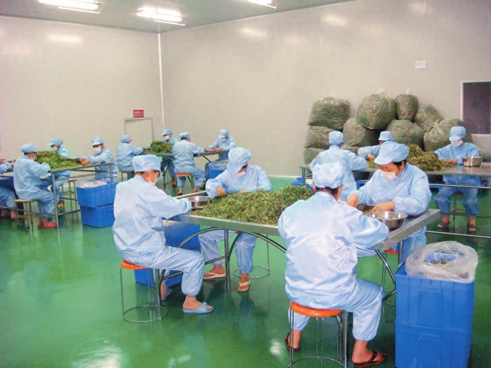 红河天第绿色产业有限公司生产技术部团队荣获全国工人先锋号称号