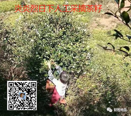 农产品免税备案证明_农业免税备案办理流程_农产品免税备案手续