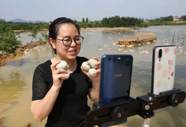 绿色贸易壁垒对农产品的影响_绿色贸易壁垒对农产品的影响_绿色贸易壁垒农产品出口案例