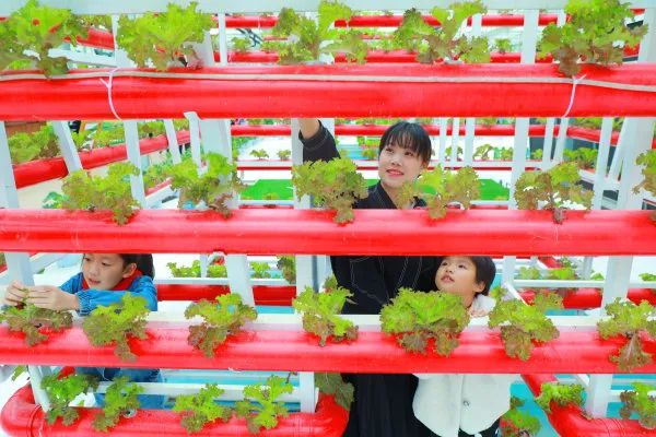 绿色贸易壁垒对农产品的影响_绿色贸易壁垒农产品出口案例_绿色贸易壁垒对农产品的影响