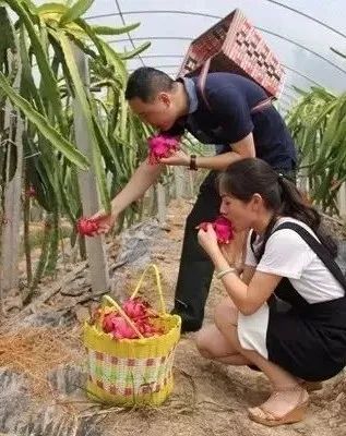江津富硒食品一览表_江津富硒农产品_江津富硒