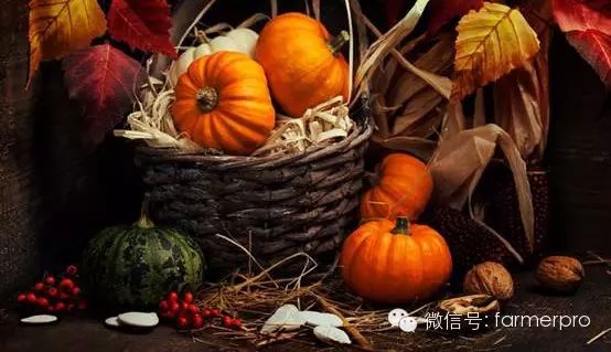 卖农产品最好的平台_农卖平台好产品有哪些_农卖平台好产品是什么