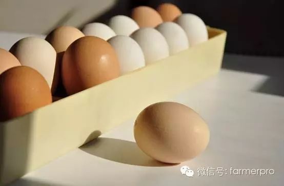 卖农产品最好的平台_农卖平台好产品是什么_农卖平台好产品有哪些