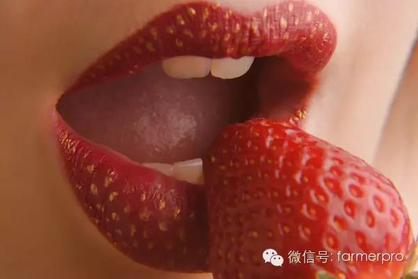卖农产品最好的平台_农卖平台好产品是什么_农卖平台好产品有哪些