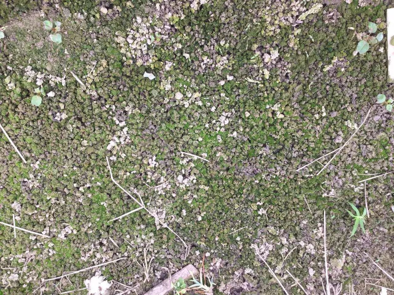 南京南农康大生物工程有限公司_南京道农康农产品_南京道康机电设备有限公司