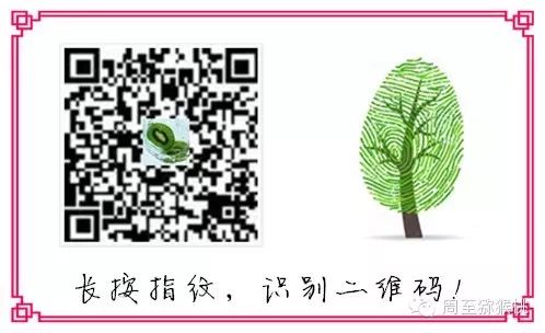 农产品电子商务发展问题研究_农产品电子商务的现状_农产品电子商务发展现状