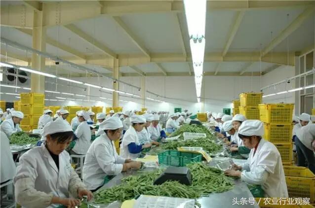 初加工农产品_农产品初加工包括_农产品初加工是什么行业