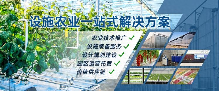 农产品营销模式_农产品营销模型_农产品营销模式与案例分析