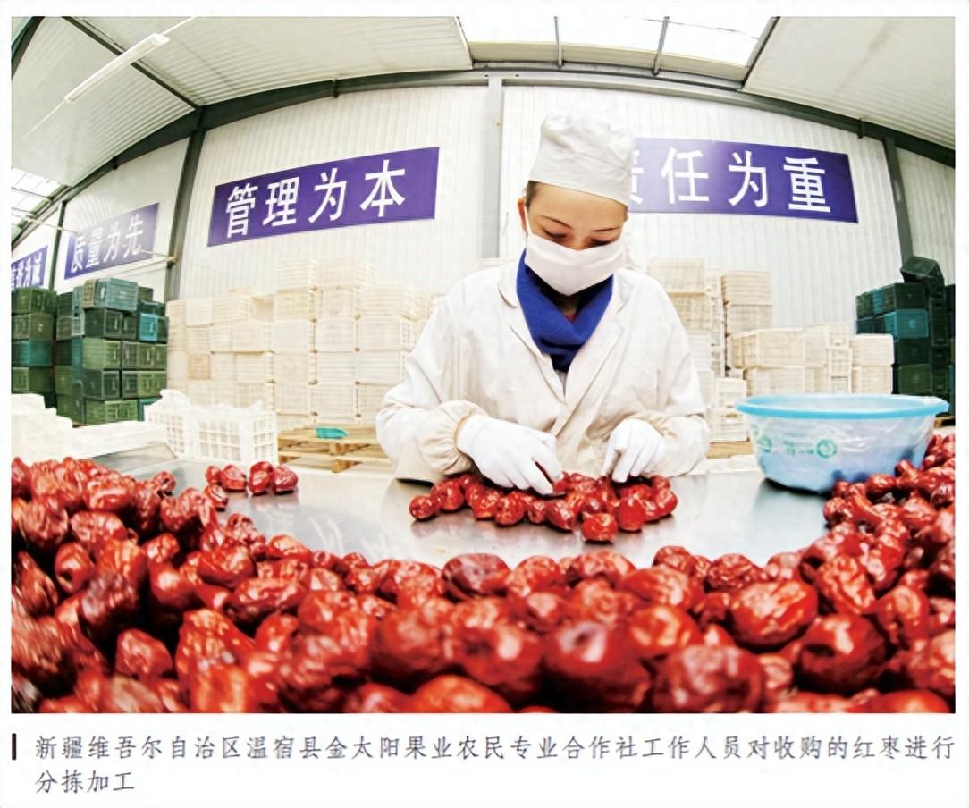 农产品产地初加工范围_农产品初加工项目实施方案_农产品产地初加工项目