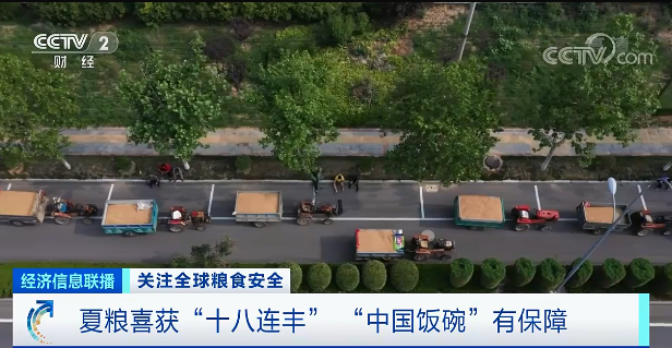 新疆农产品出口价格_新疆生产建设兵团农十三师_农资人论坛农药出口论坛