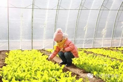辽宁省电子商务示范县_辽宁电子商务局_辽宁省农产品电子商务