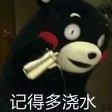 抵扣农产品进项税的会计分录_农产品抵扣税金_农产品抵扣文件