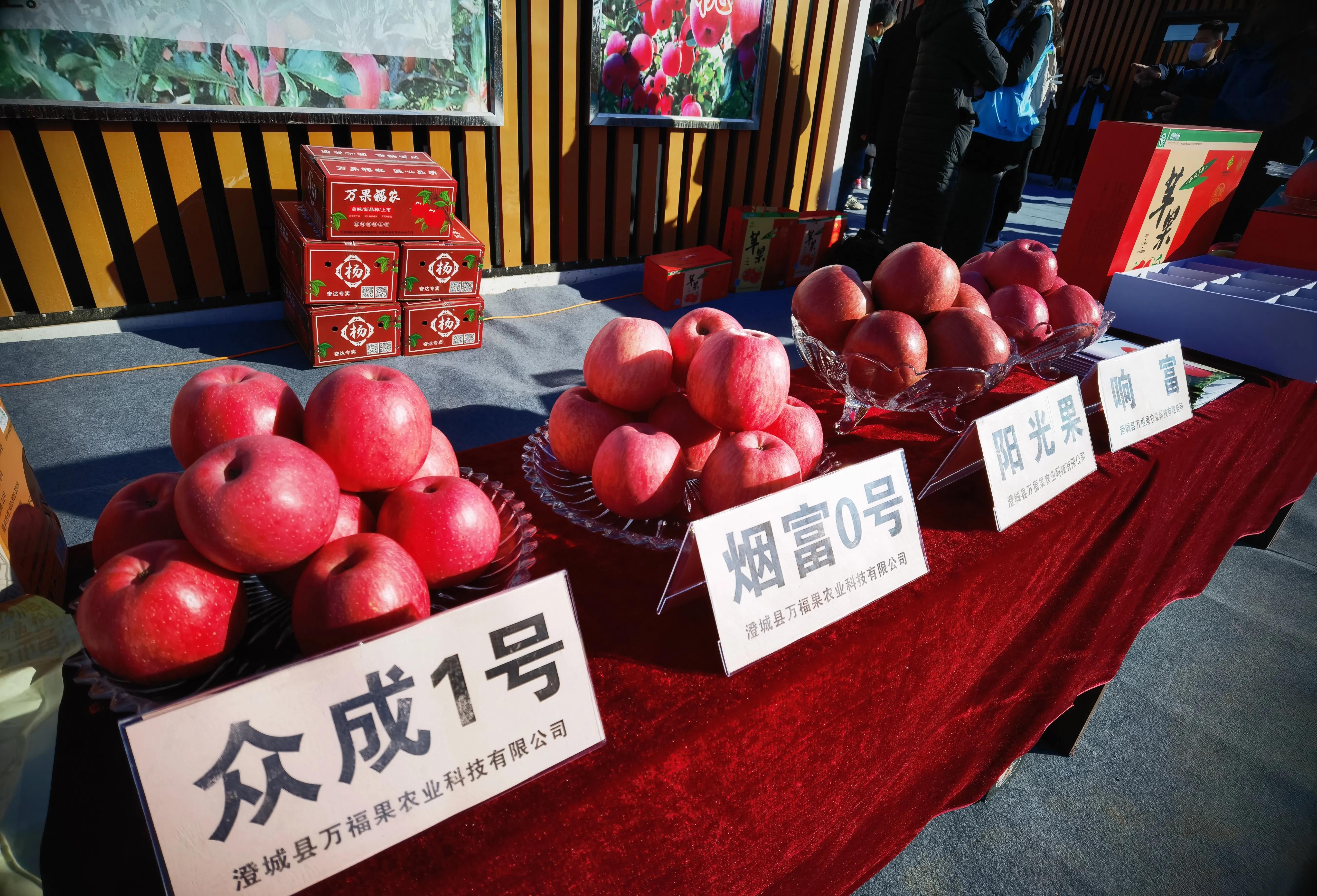 陕西金口碑农产品商城_第二届陕西金口碑会长名单_陕西金口碑商城