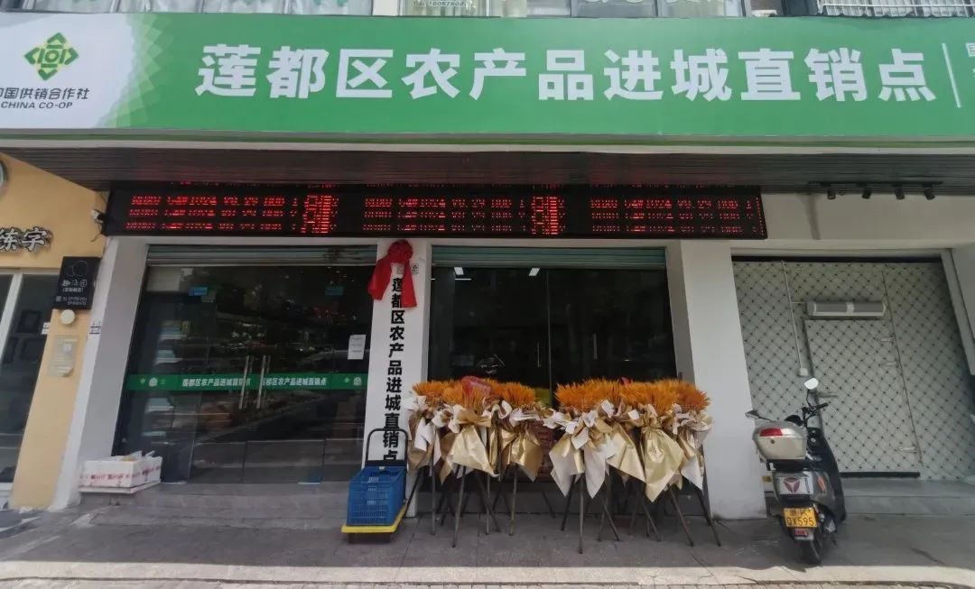 农产品进城难_难进城农产品怎么办_农产品进城难的原因