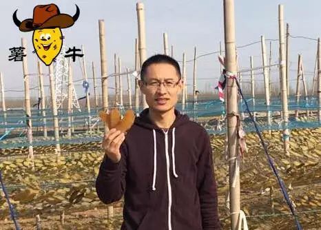 农产品网络营销的实施基础_农业产品的网络运营方案_农村网络基础与农产品网上营销