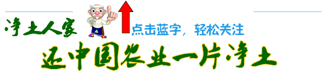 新型农产品安全检测技术特点_新型农产品检测_新型农产品安全检测技术有哪些