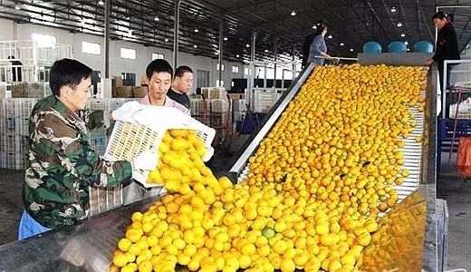 黑龙江绿色农业_黑龙江省绿色产品交易中心_黑龙江绿色农产品