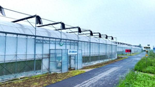 淮安农产品信息_淮安农业网_淮安农村交易信息平台