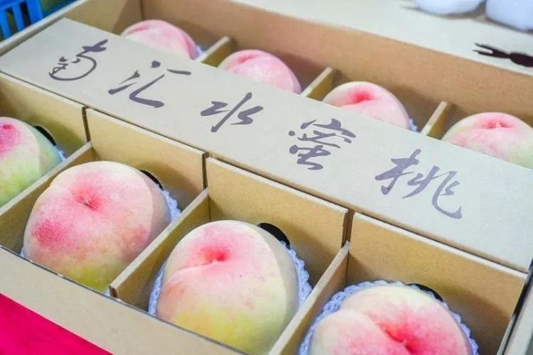 农产品追溯系统平台_浦东追溯农网产品有哪些_浦东农产品追溯网