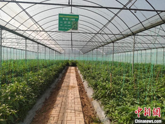 衡阳农副产品_湖南衡阳农产品_衡阳有什么农产品