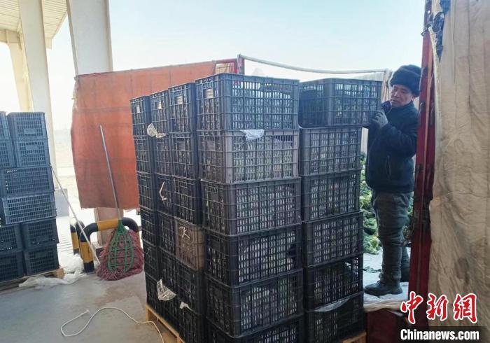 新疆农副产品交易中心_新疆农产品交易市场_新疆特色农产品交易中心