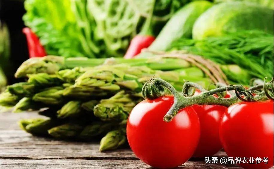 农产品宣传单页_农业产品手册_农产品宣传手册