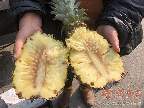 雨润农产品全球采购名录_雨润西安农副产品_西安雨润农产品全球采购有限公司