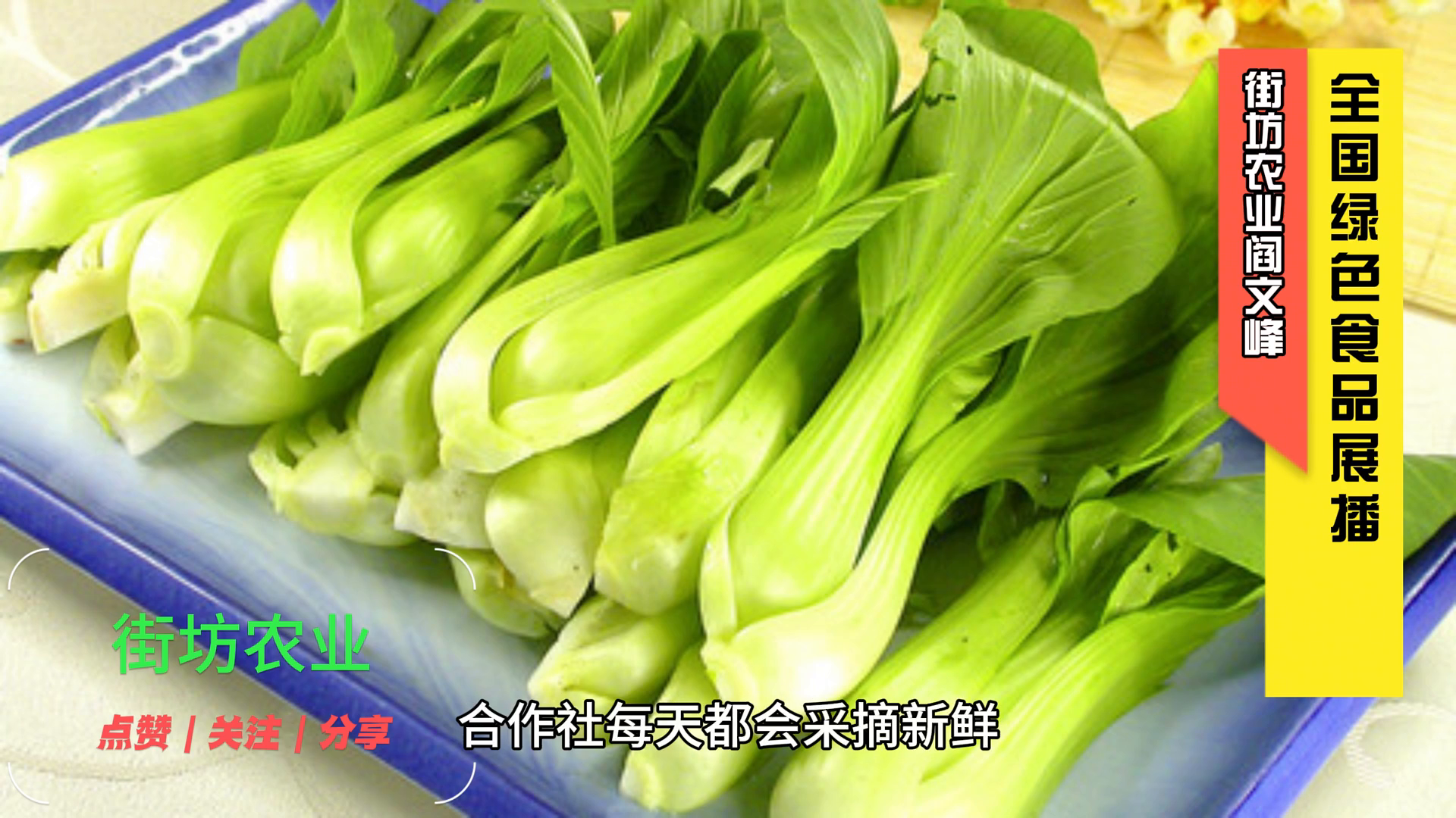 上海市无公害农产品_无公害农业产品_上海无公害蔬菜专卖店