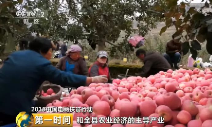 甘肃农产品交易中心_甘肃农产品平台_甘肃农产品质量安全监管平台
