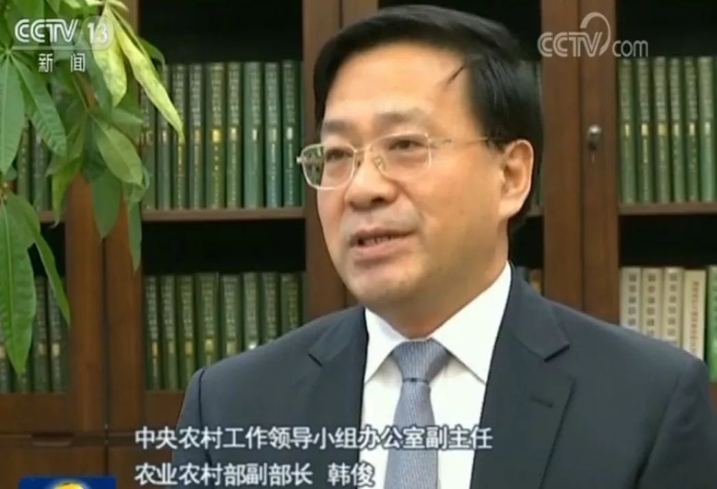 中国农产品出口竞争力分析_中国农产品出口价格优势_农产品出口竞争优势有哪些