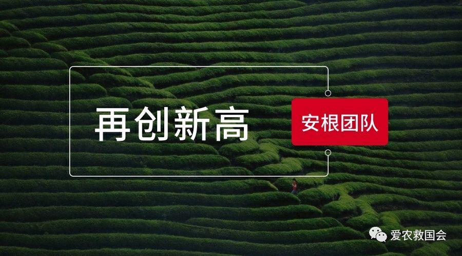 植物保护与农产品质量安全_植物保护与农产品质量安全书籍_植物保护农药与农产品安全方向