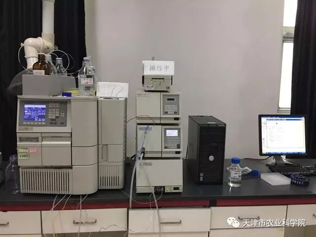 基因农转产品有哪些_基因农转产品是什么_转基因农产品