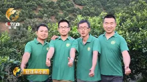 橙农网络技术有限公司怎么样_橙子农产品_农橙视频