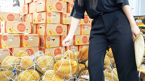 上海西郊国际农产品批发市场_上海西郊国际农产品批发市场_上海西郊国际农产品批发市场