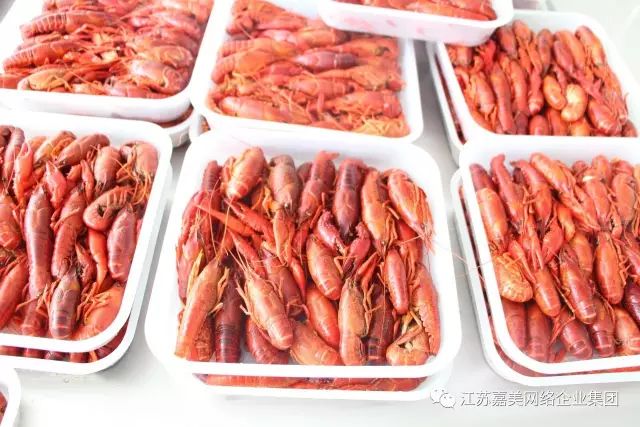 农产品网络营销的现状_农产品网络营销现状分析_农产品网络营销现状