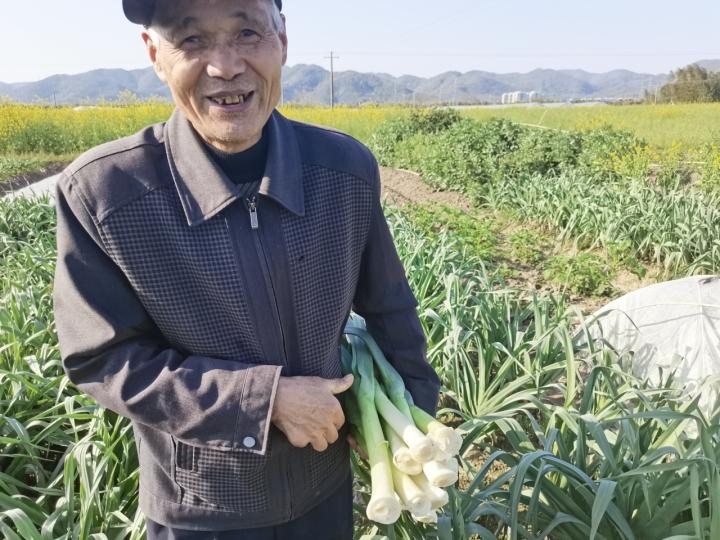 宁波农副产品批发市场_宁波农批市场在哪里_宁波农产品 批发市场 价格
