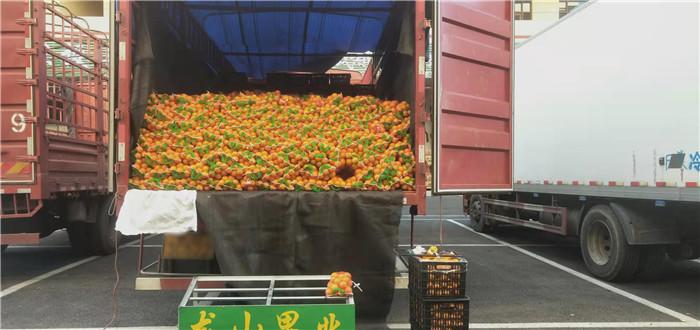 山东农业产权交易中心_山东农产品交易所_山东农产品交易网
