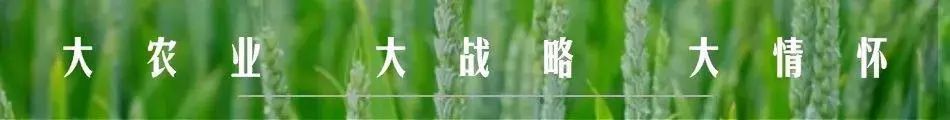 农产品物流模式创新研究_农物流创新研究模式产品有哪些_农产品物流运作模式研究
