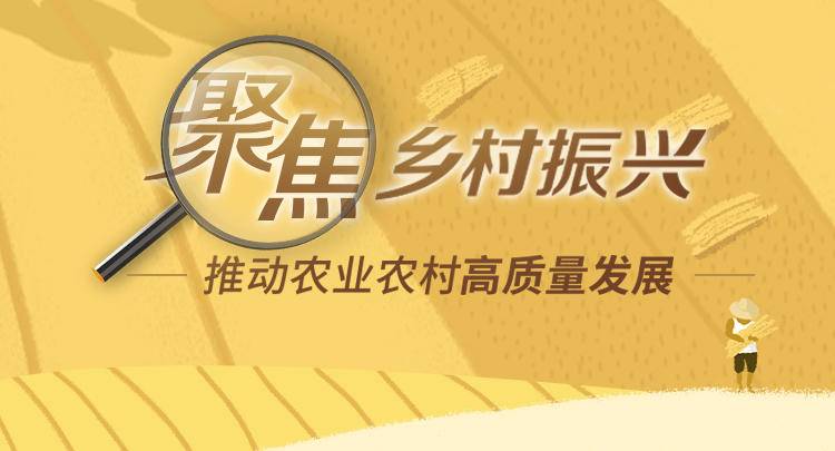 农产品追溯的基本要点_农产品追溯系统的缺点_农产品追溯制度