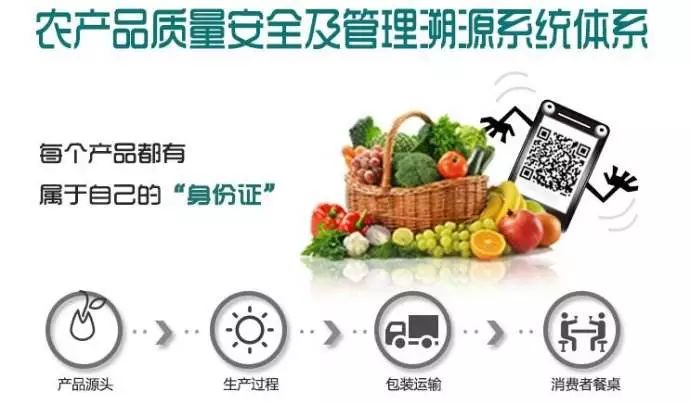 农产品可追溯体系发展_农产品追溯系统的缺点_农产品可追溯体系三个基本功能