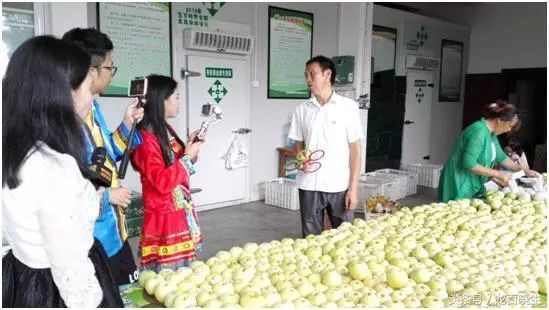 农户电商商业模式_农产品电商模式_我国农村电商的主要模式