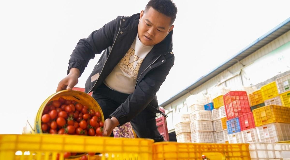 百姓农业网_百色百姓网农产品_百色农氏