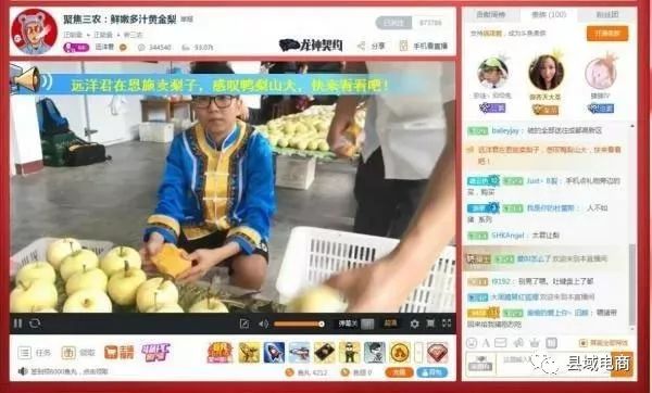 农村电商商业模式九要素_农户电商商业模式_农产品电商模式
