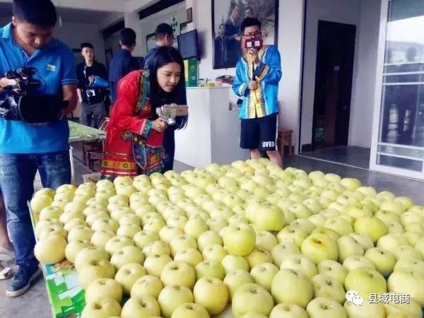 农产品电商模式_农户电商商业模式_农村电商商业模式九要素