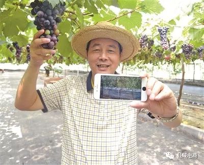 农产品电商模式_农村电商商业模式九要素_农户电商商业模式