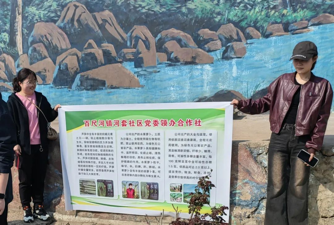 农产品文化_农业文化产品_农产品文化创意