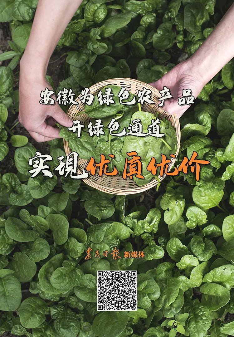 安徽绿农生物有机肥有限公司_安徽绿色农产品_安徽省绿色食品产业