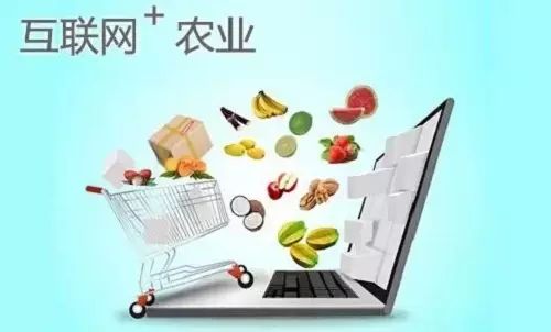 商务农物流电子产品包括哪些_电子商务下的农产品物流_农产品电子商务 物流