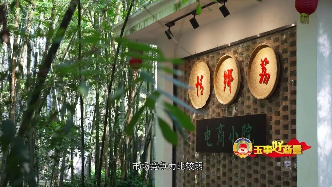 农村电商宣传推广活动_农产品电商推广方案_农村电商营销策划方案