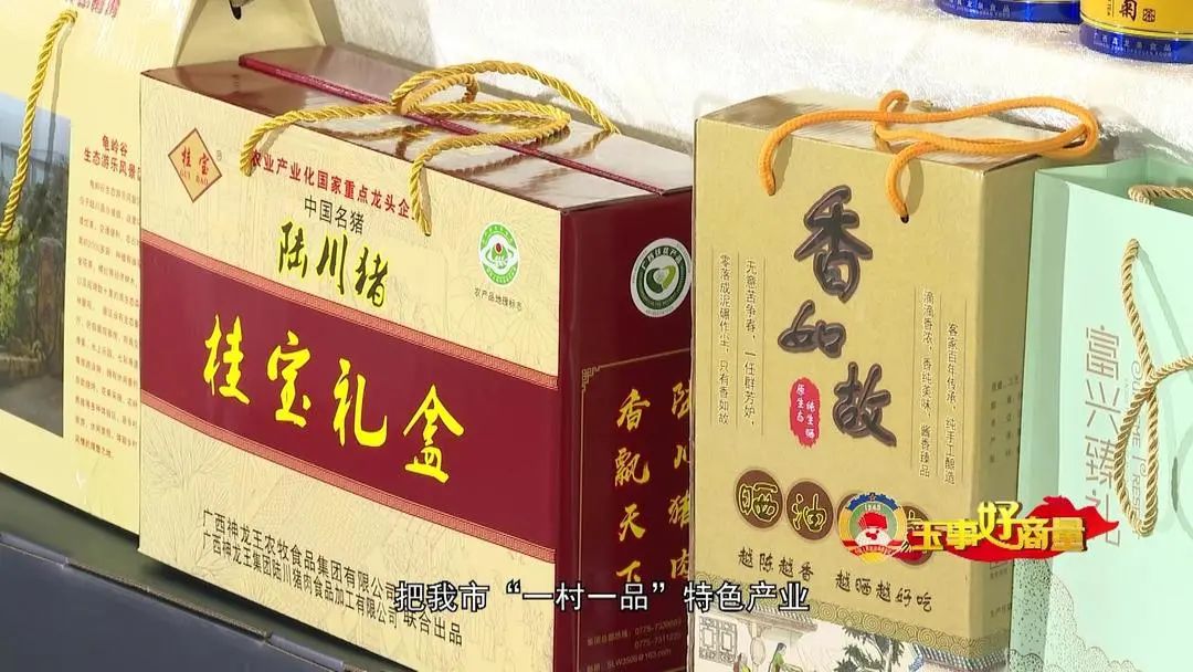 农产品电商推广方案_农村电商营销策划方案_农村电商宣传推广活动